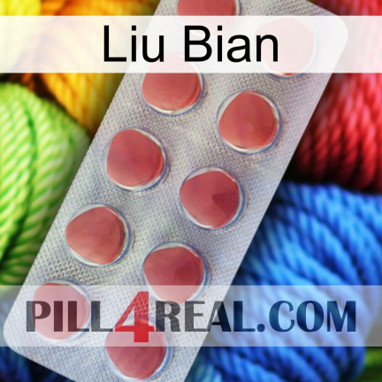 Liu Bian 18